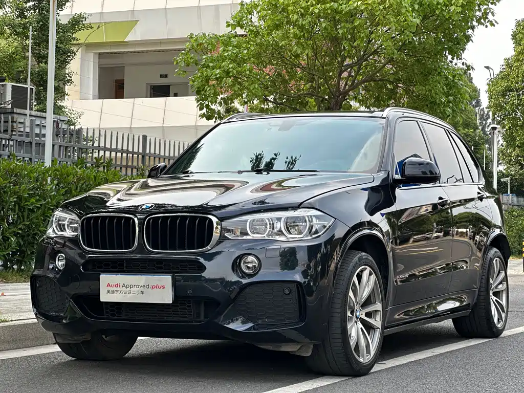 BMW X5 (Import) — миниатюра 12
