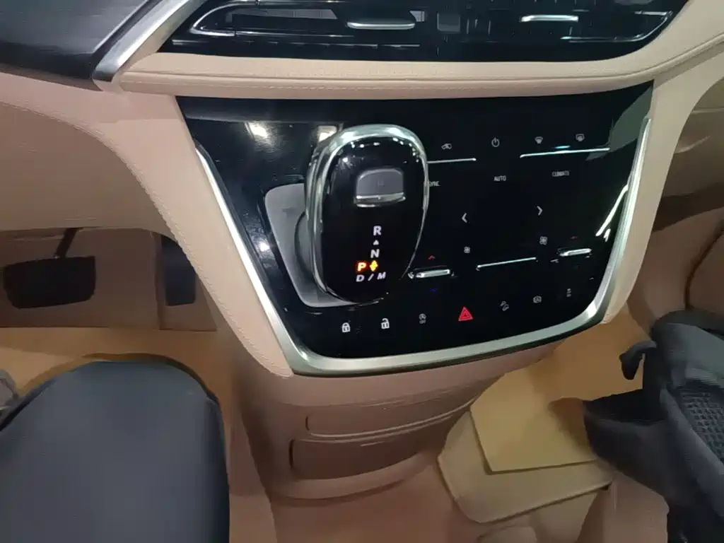 Buick GL8 — миниатюра 14