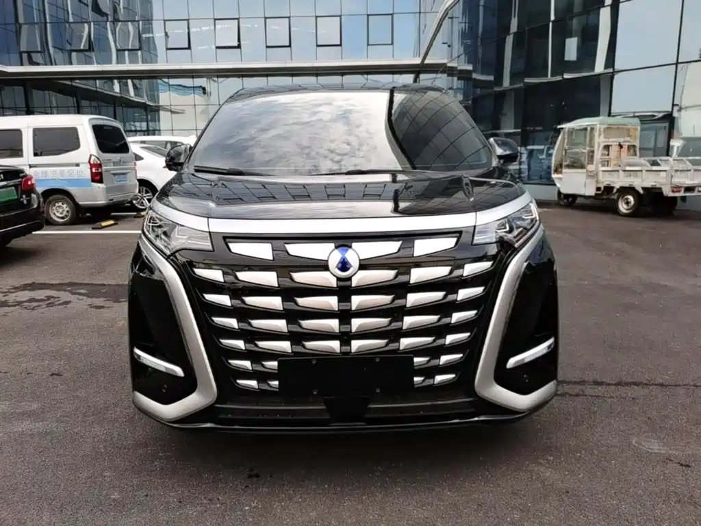 Denza Denza D9 — миниатюра 3