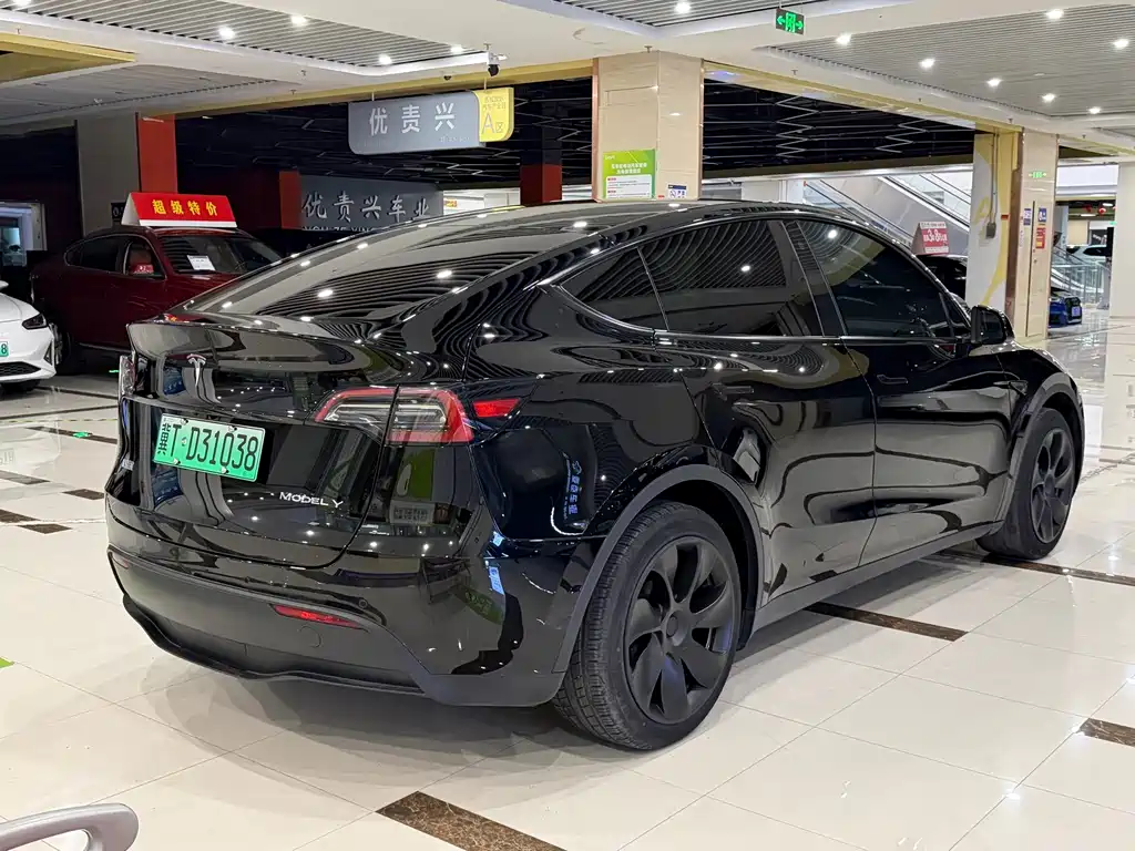 Tesla Model Y — миниатюра 9
