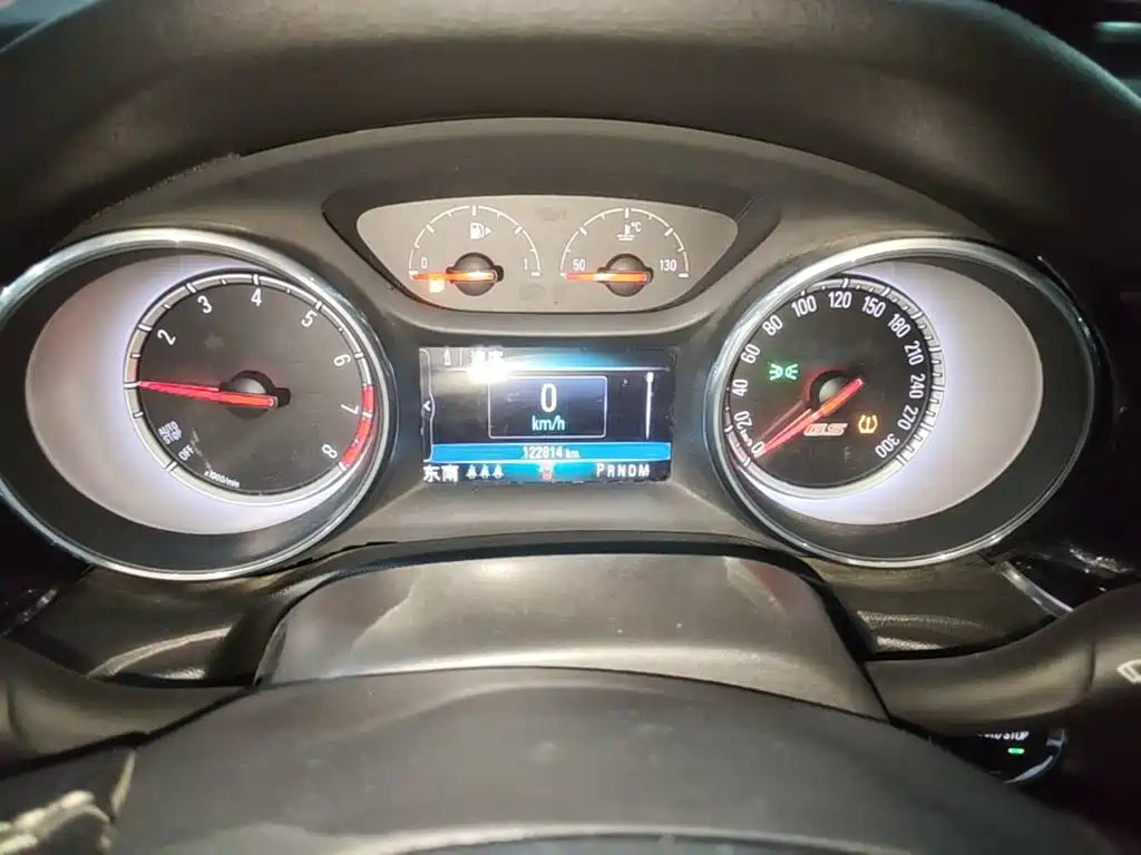 Buick Regal — миниатюра 12
