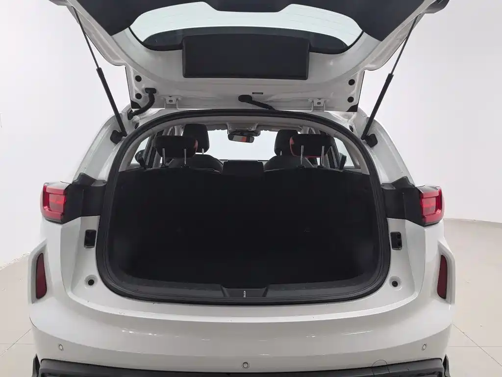 Haval Chitu — миниатюра 16