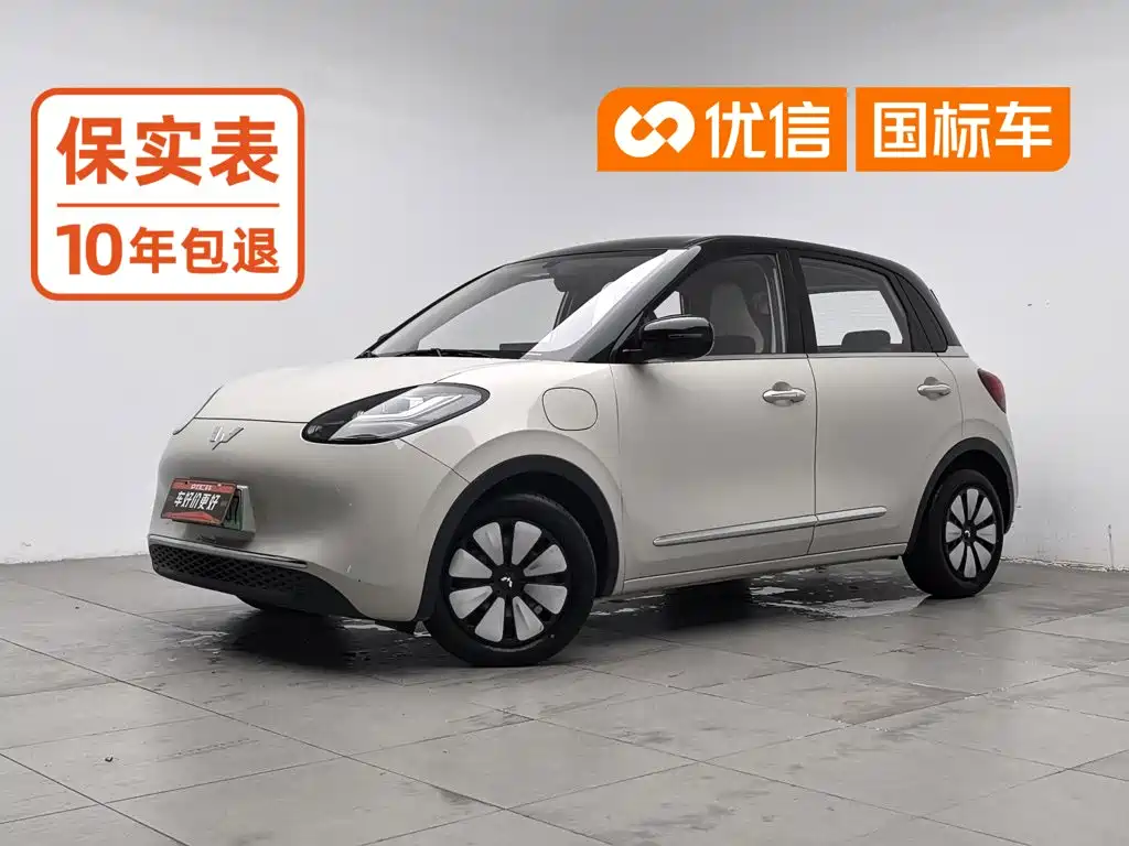 Wuling Bingo
