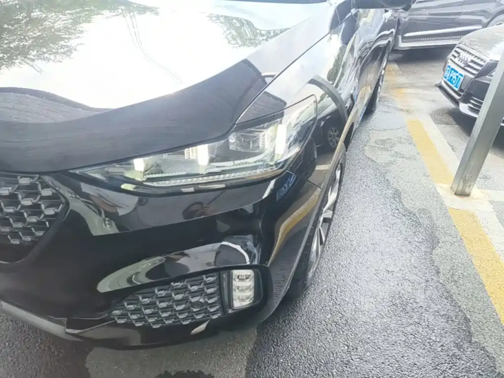 Wey Wey VV6 — миниатюра 24