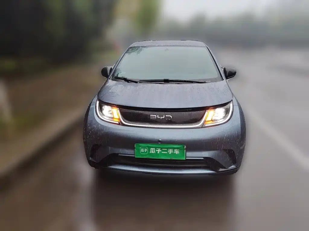 BYD Dolphin — миниатюра 2