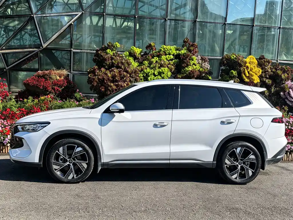 BYD Pro New Energy — миниатюра 3
