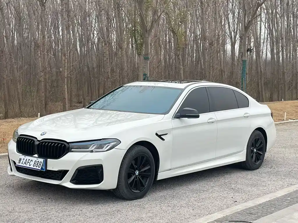 BMW 5 Series 2015