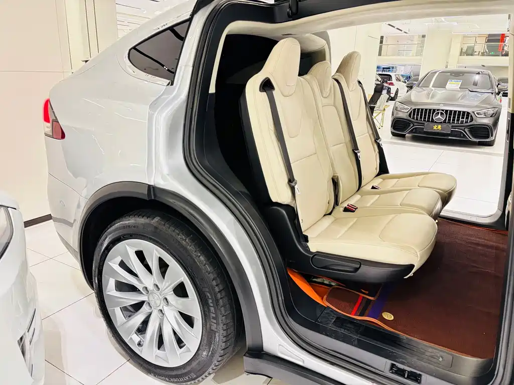 Tesla Model X — миниатюра 19