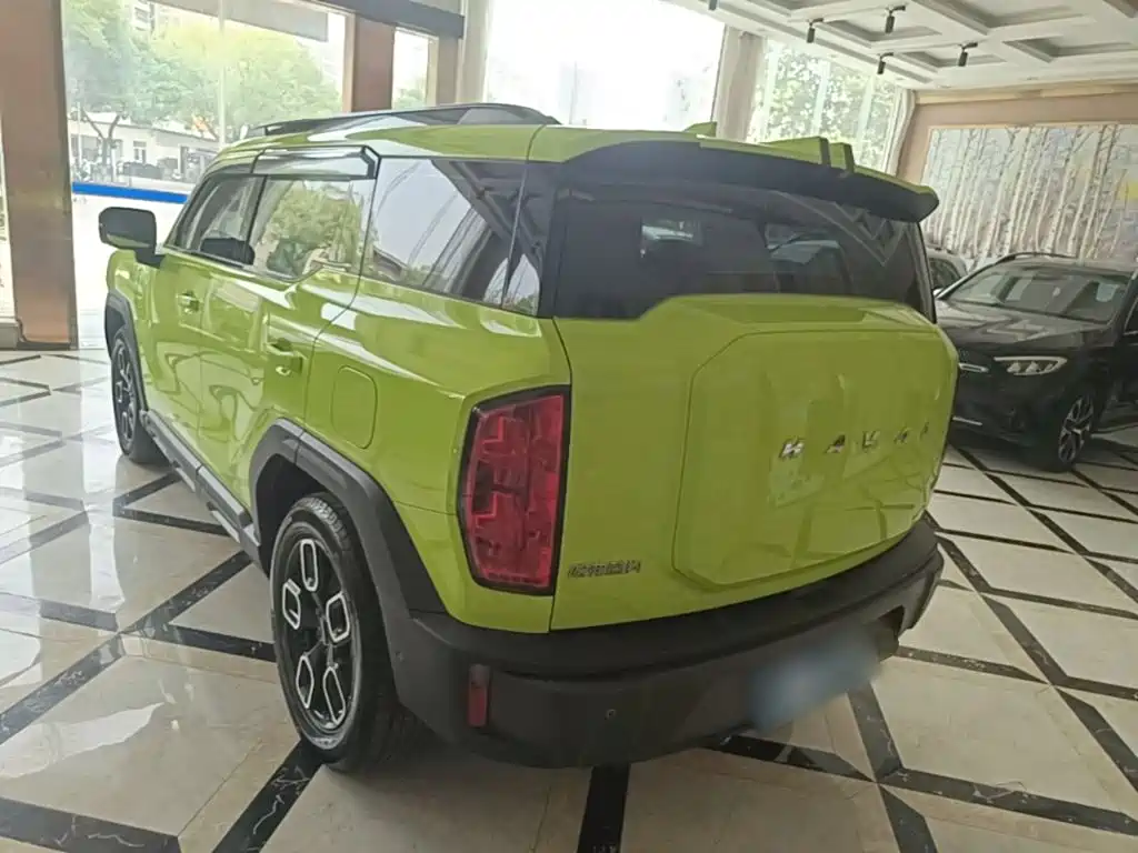 Haval Cool Dog — миниатюра 5