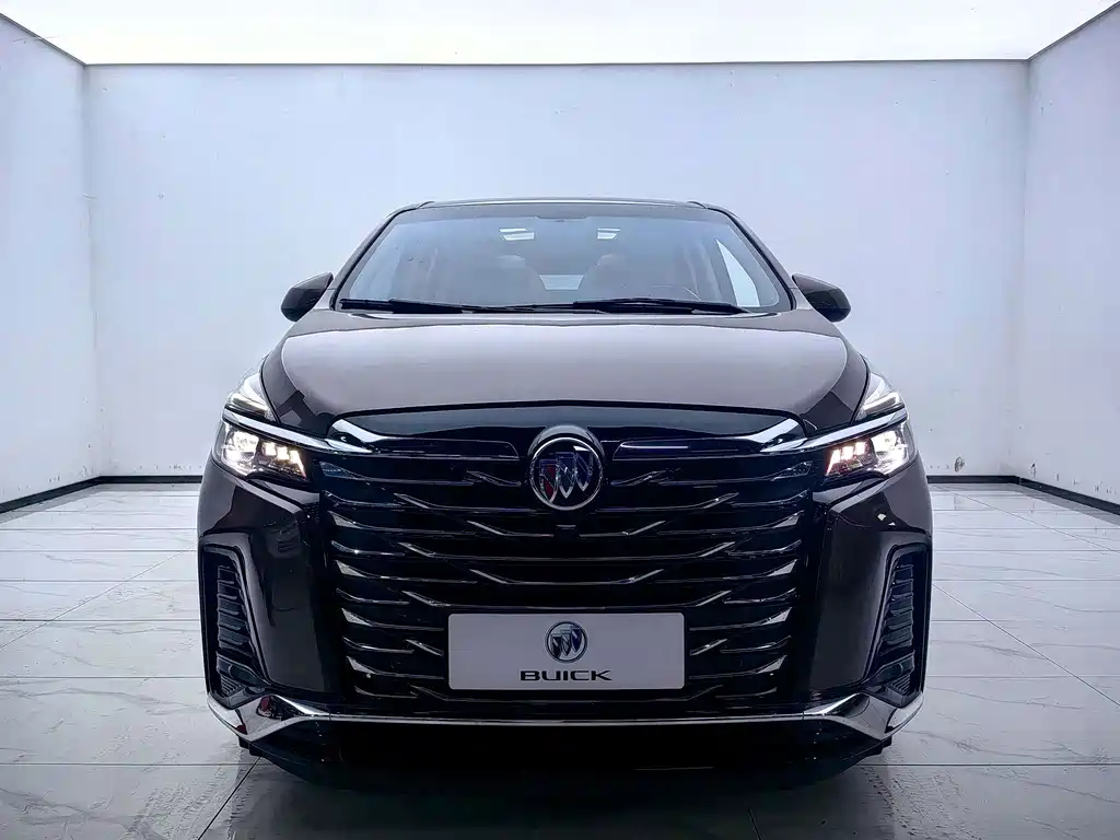 Buick GL8 — миниатюра 2