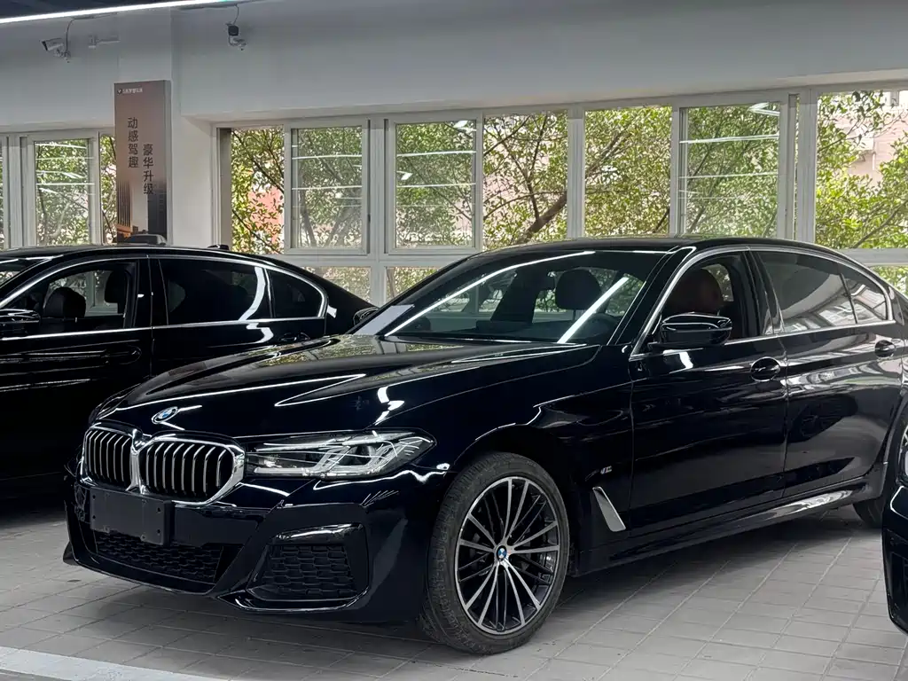 BMW 5 Series 2021