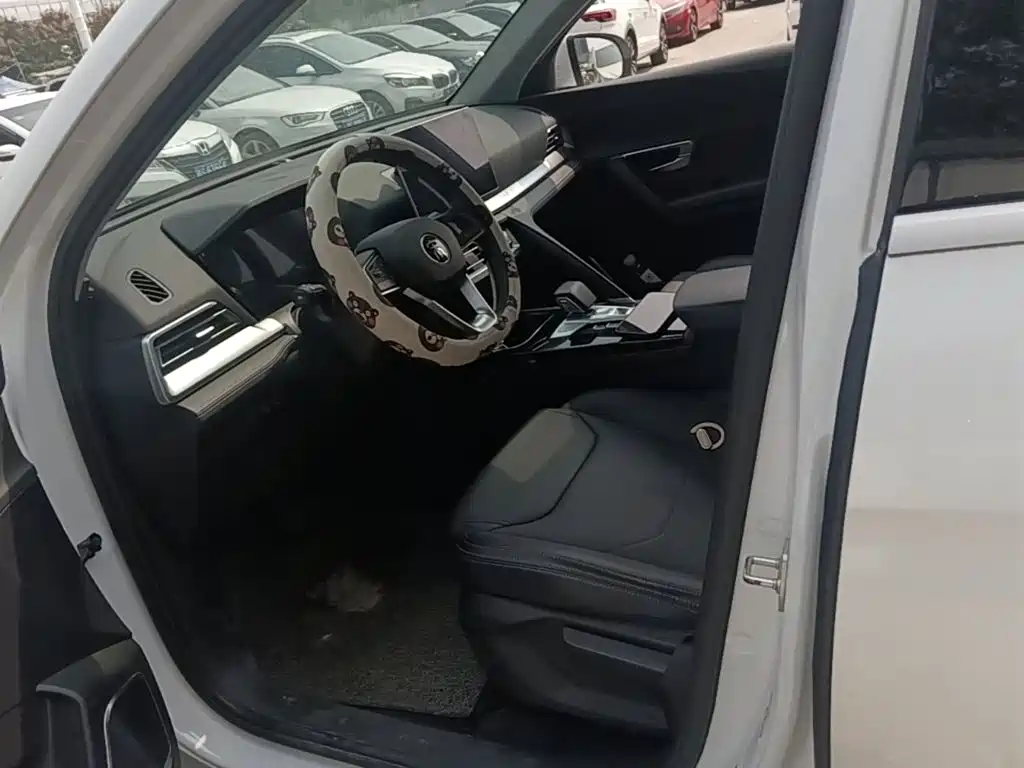 BYD Pro — миниатюра 15