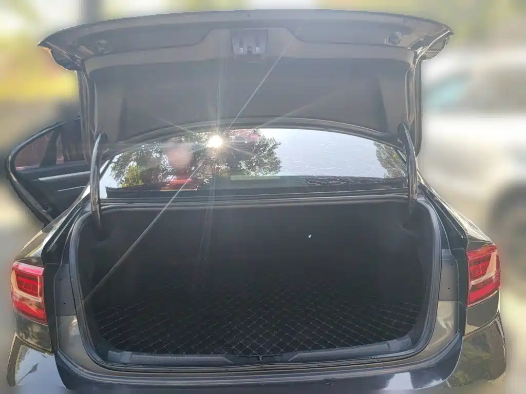 Volkswagen Lamando — миниатюра 20