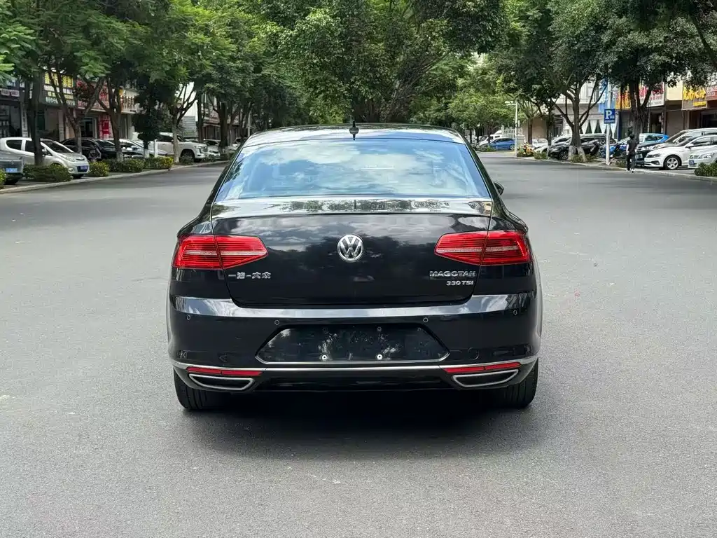 Volkswagen Magotan 2019 330TSI DSG Luxury VI