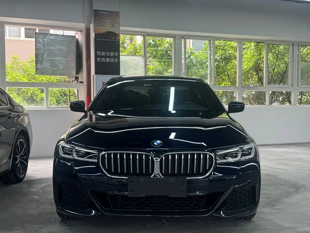 BMW 5 Series 5 2021 530Li xDrive M Sport
