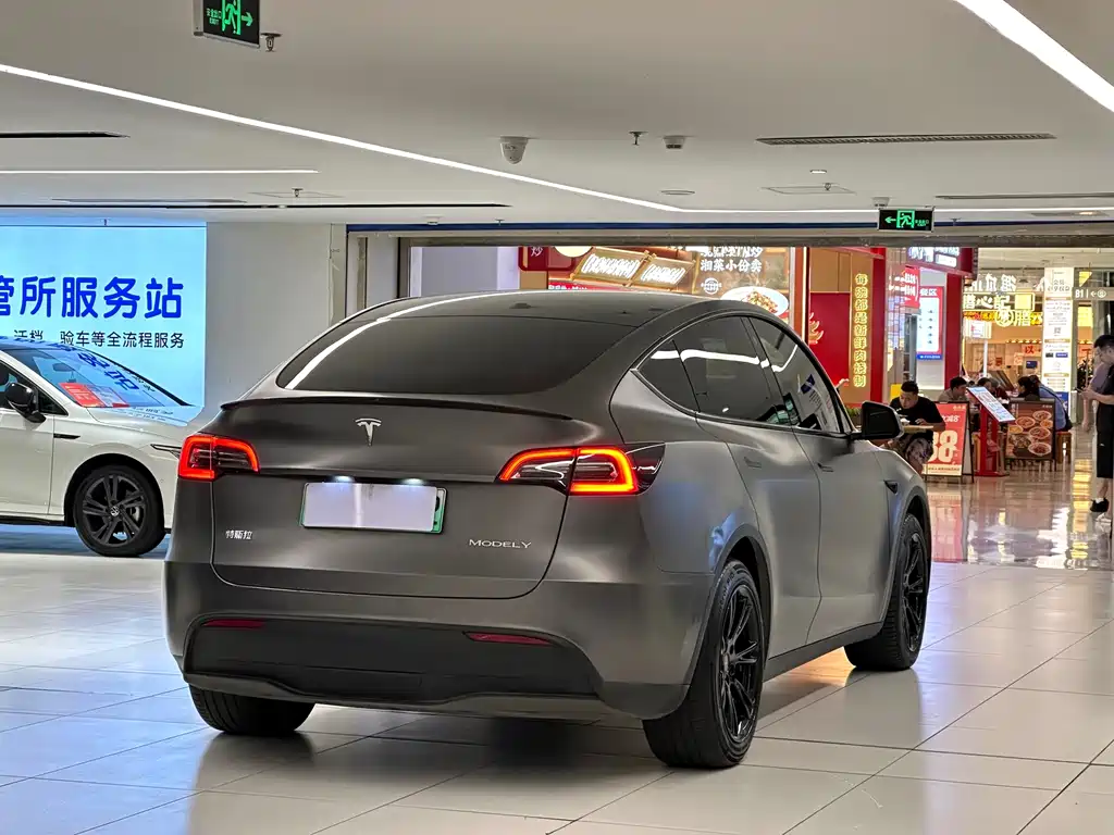 Tesla Model Y — миниатюра 7