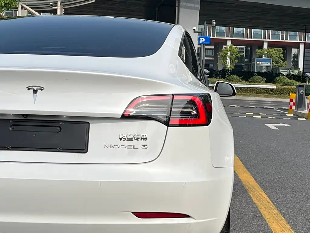 Tesla Model 3 — миниатюра 6