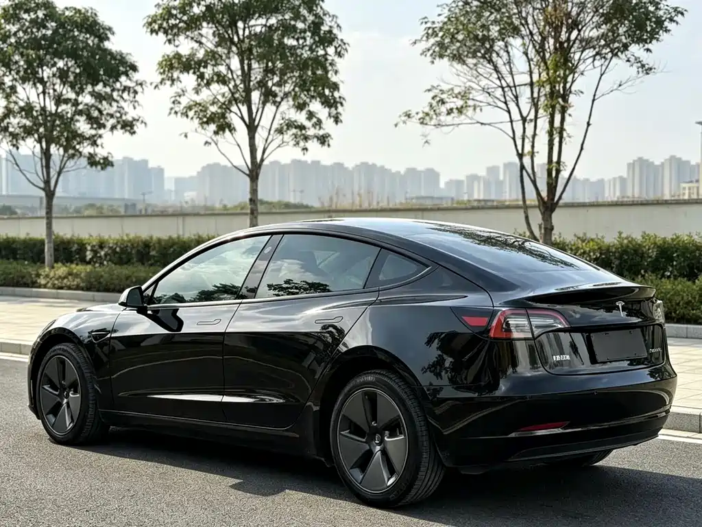 Tesla Model 3 — миниатюра 6