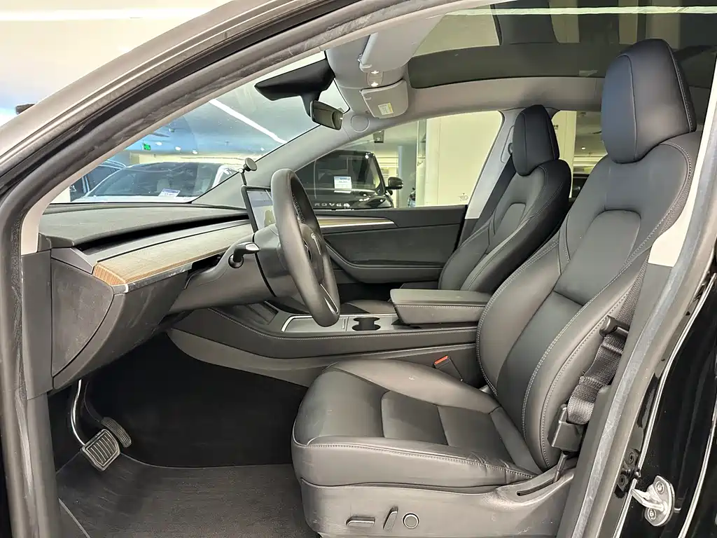 Tesla Model Y — миниатюра 9