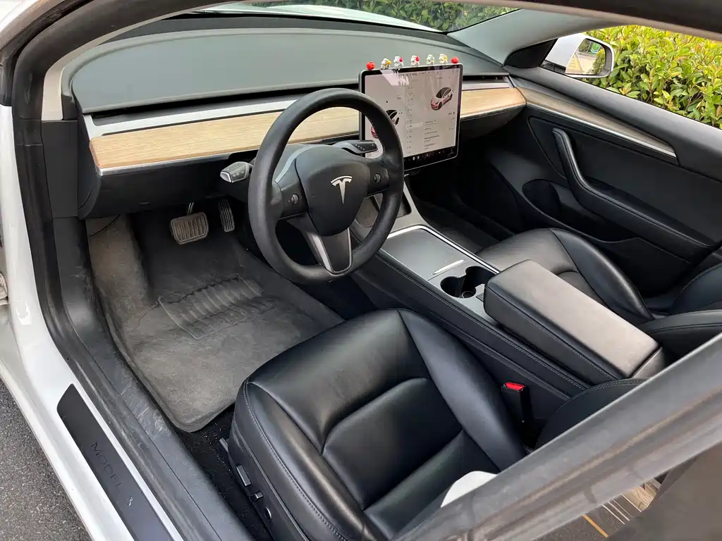 Tesla Model 3 — миниатюра 11