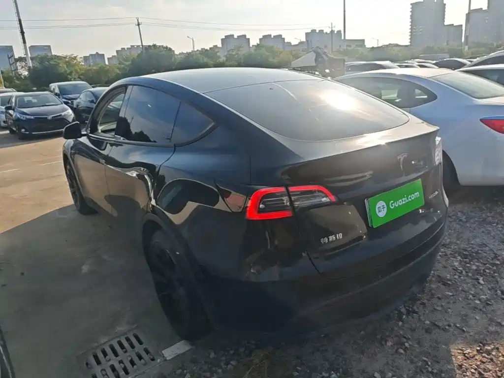 Tesla Model Y — миниатюра 5