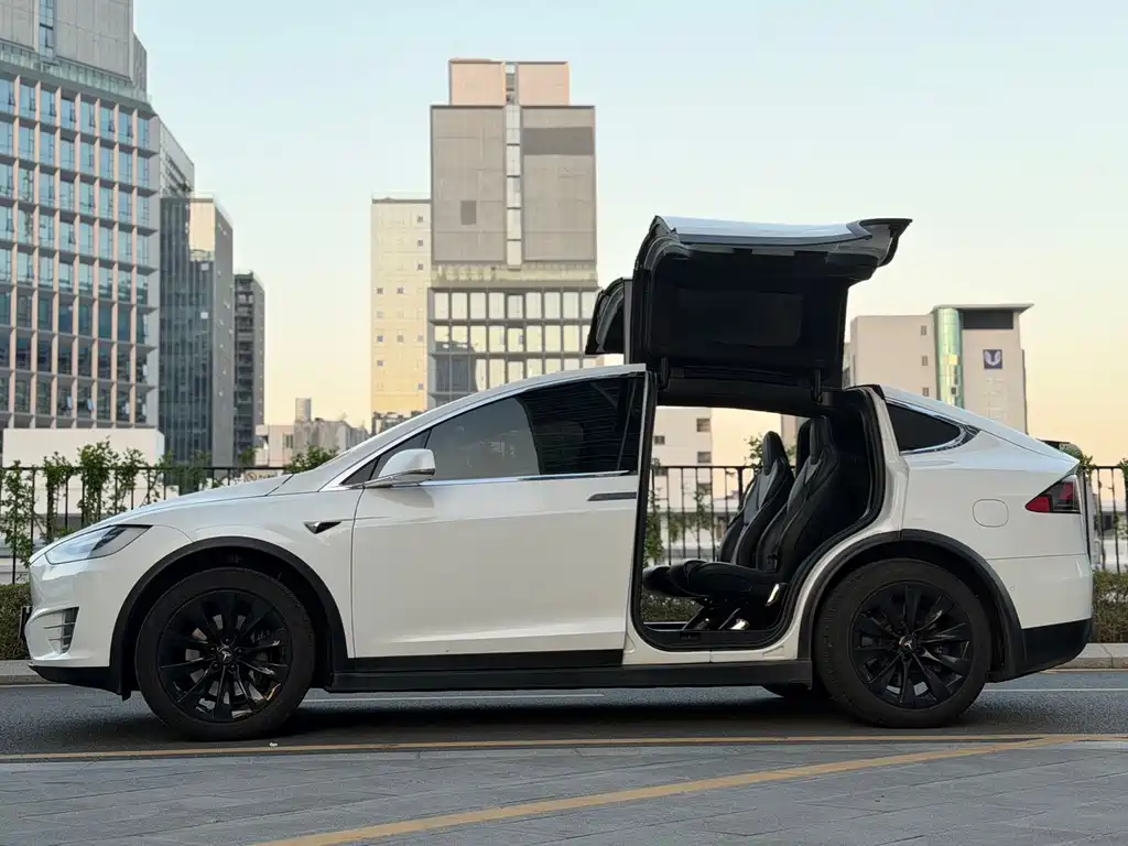 Tesla Model X — миниатюра 2