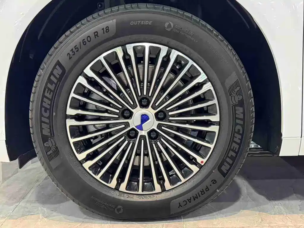 Denza Denza D9 — миниатюра 9
