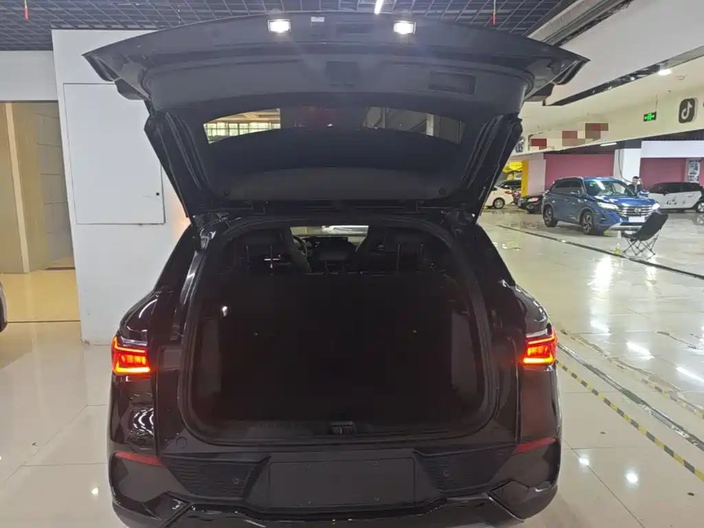 BYD Yuan Plus — миниатюра 19