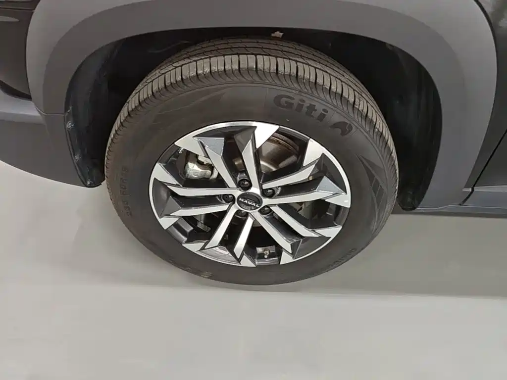 Haval Big Dog — миниатюра 23