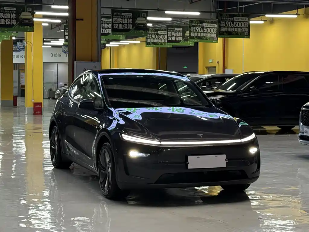 Tesla Model Y — миниатюра 3