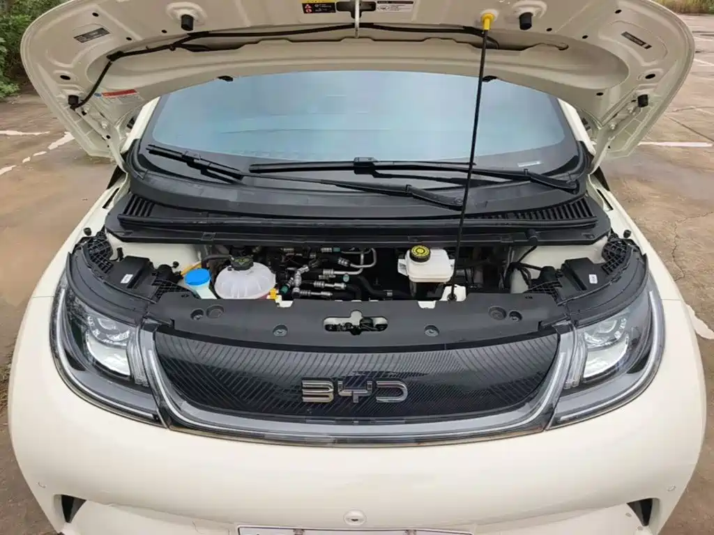BYD Dolphin — миниатюра 20