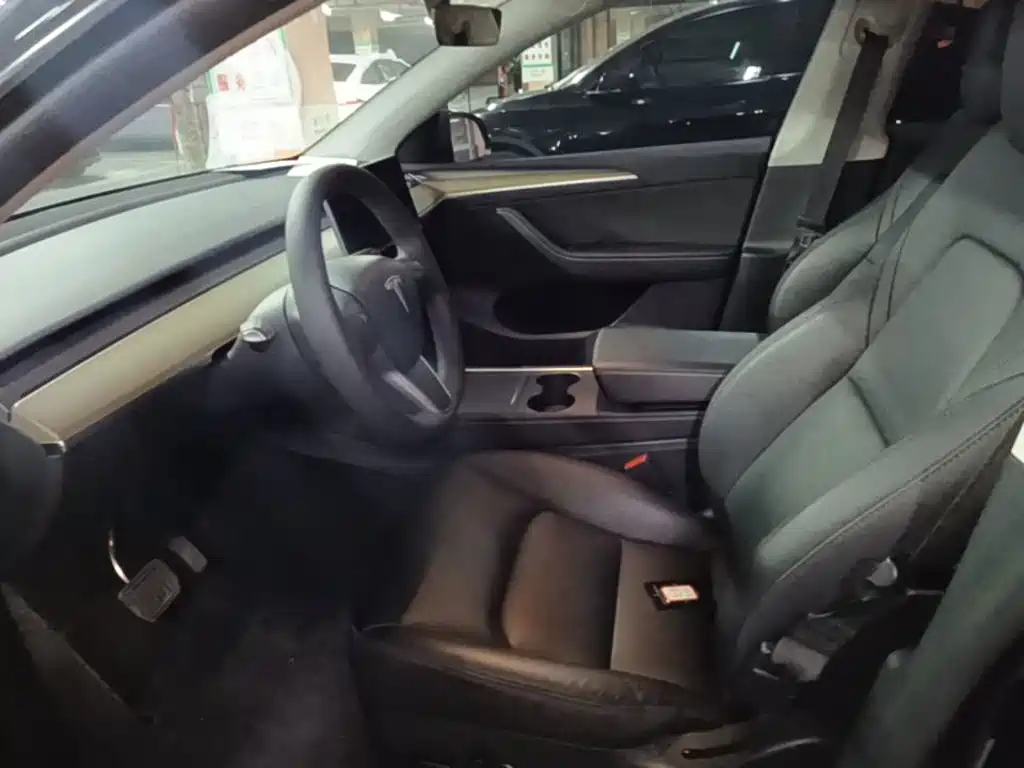 Tesla Model Y — миниатюра 15