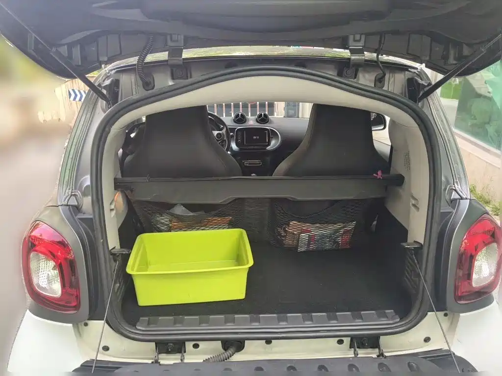 smart Smart Fortwo — миниатюра 20