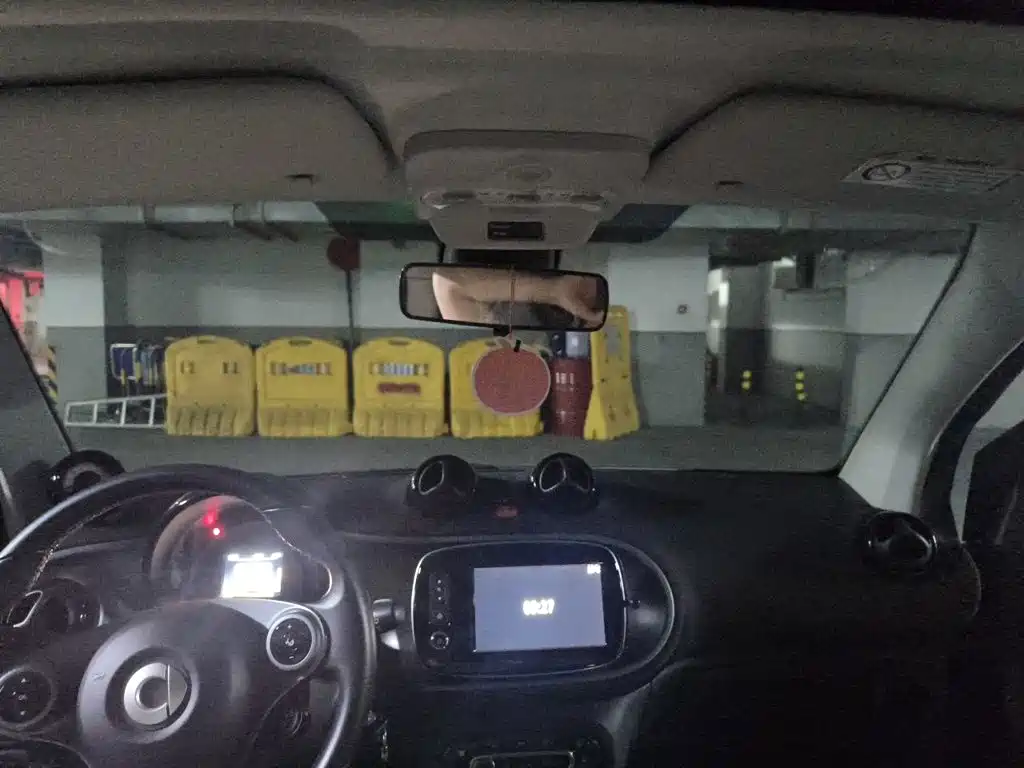 smart Smart Fortwo — миниатюра 19