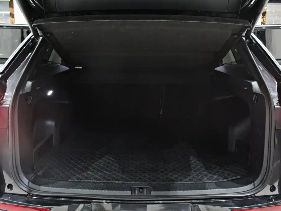 Volkswagen Tavendor — миниатюра 13