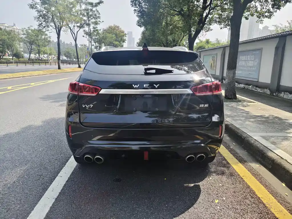 Wey Wey VV7 — миниатюра 8