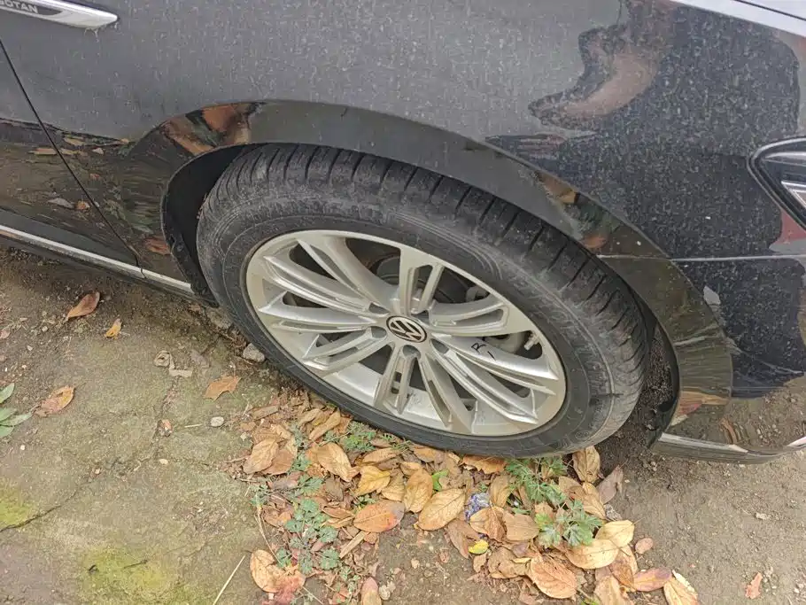 Volkswagen Magotan — миниатюра 6