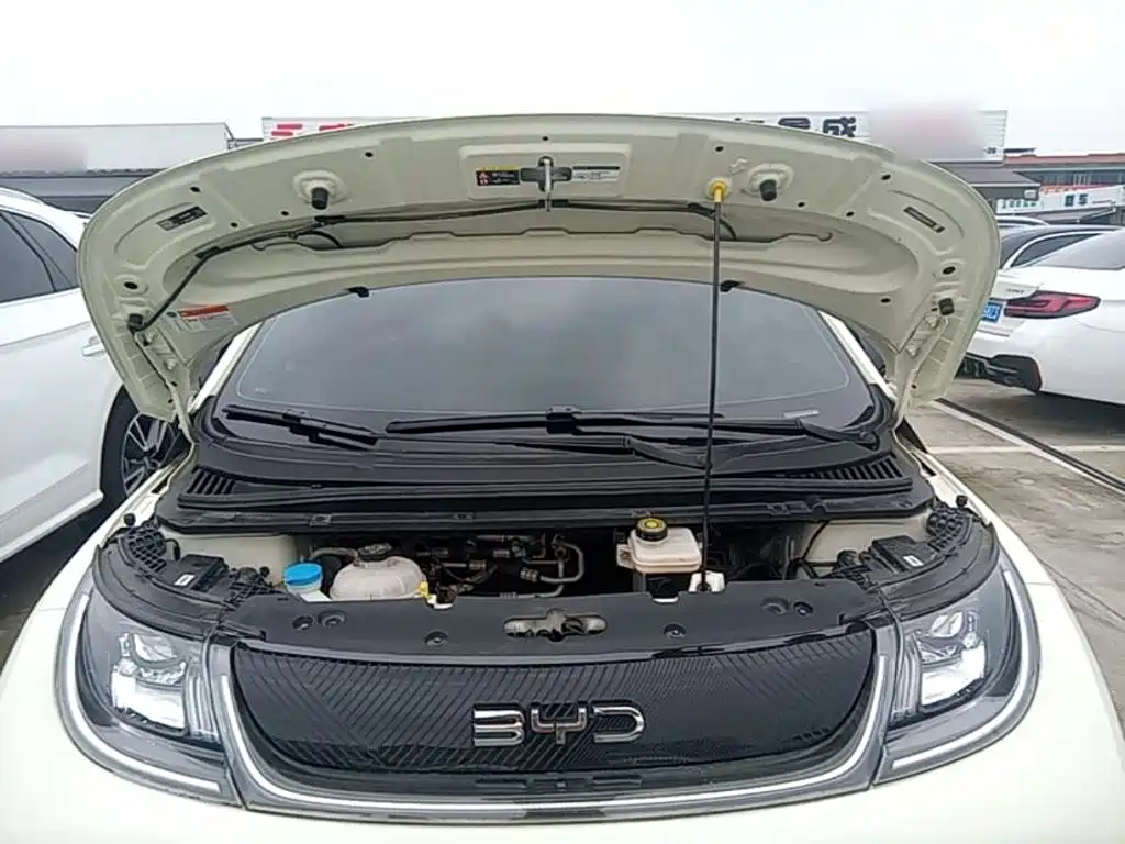 BYD Dolphin — миниатюра 20