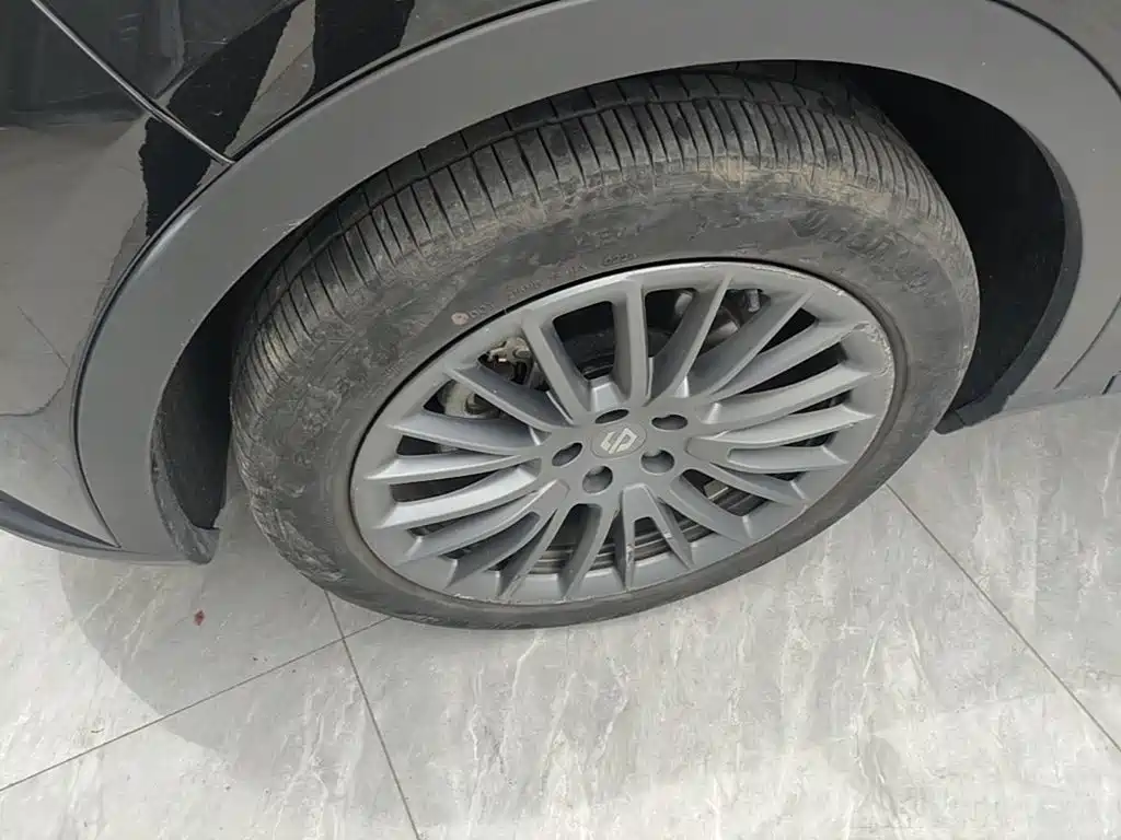 Leapmotor Leapmotor C11 — миниатюра 23