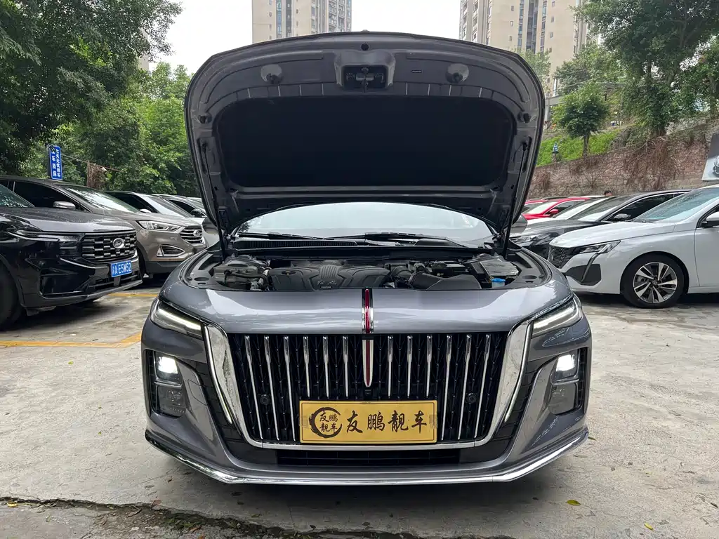 Hongqi Hongqi H5 — миниатюра 21