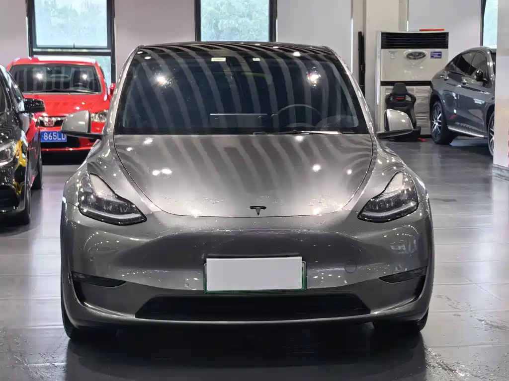 Tesla Model Y — миниатюра 2