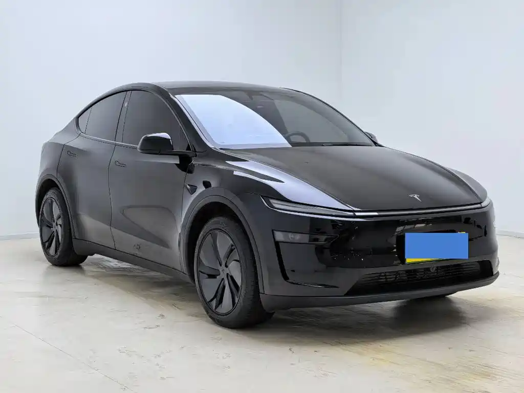 Tesla Model Y — миниатюра 3