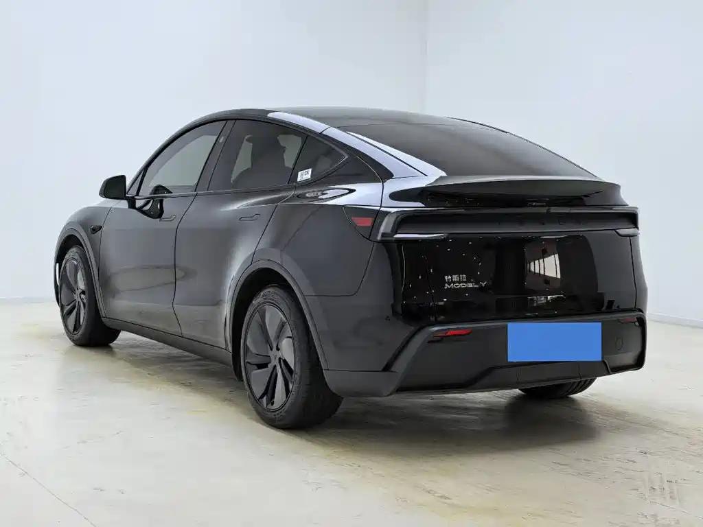 Tesla Model Y — миниатюра 10