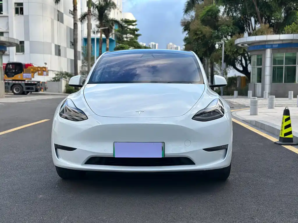 Tesla Model Y — миниатюра 2