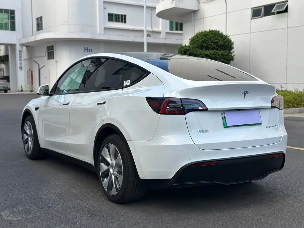 Tesla Model Y — миниатюра 4
