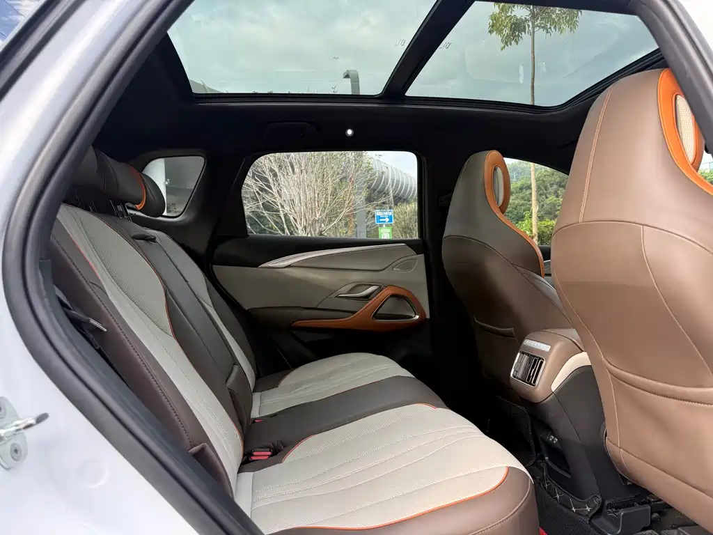 BYD Pro New Energy — миниатюра 16