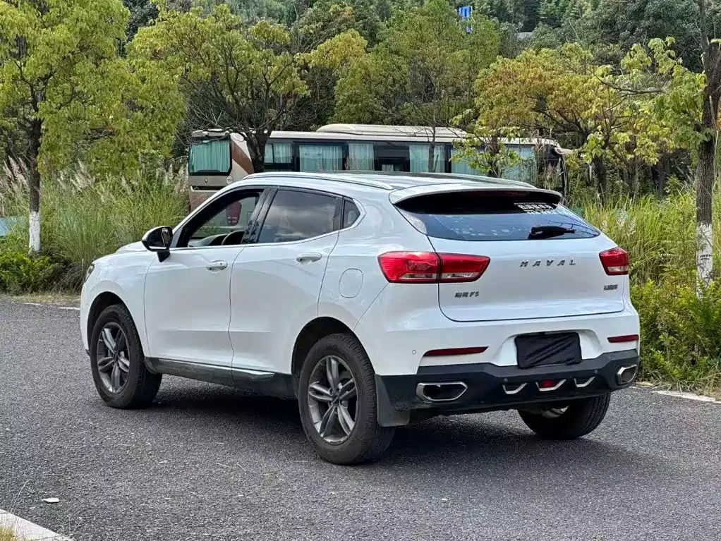 Haval F5 — миниатюра 8