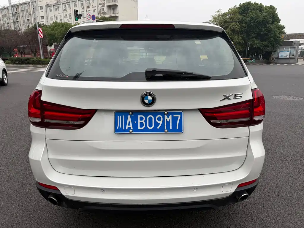 BMW X5 (Import) — миниатюра 5