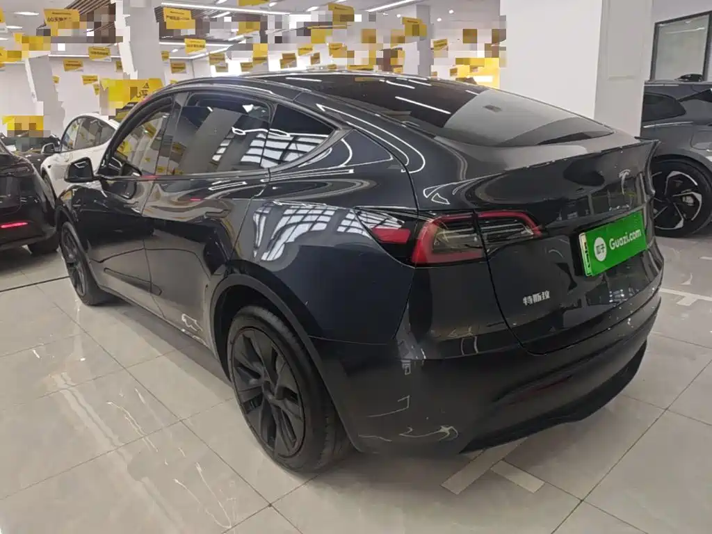 Tesla Model Y — миниатюра 5