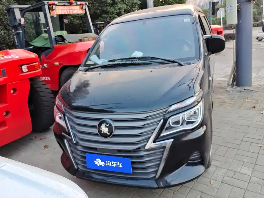 Fengxing Lingzhi — миниатюра 2